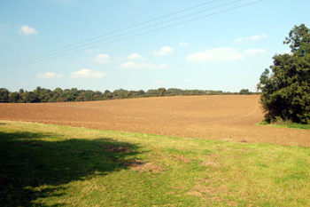 Looking north towards